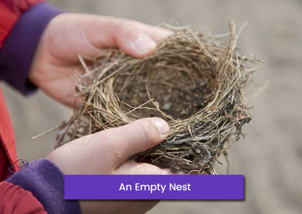 An Empty Nest, Peyush Bhatia