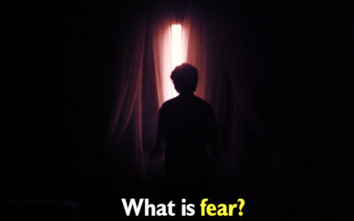 What Is Fear, Peyush Bhatia